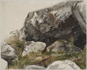 Paysage rocheux