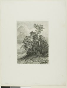 Paysage Alpin
