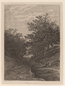 Chemin creux