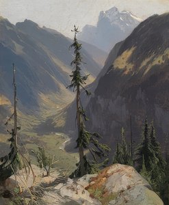 La vallée de Lütschine avec le Wetterhorn