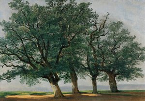 Quatre grands arbres