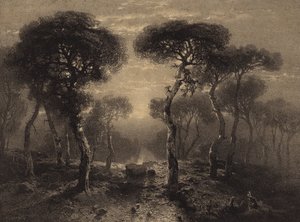 Paysage avec des arbres