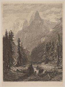 Prairie de montagne - Alexandre Calame