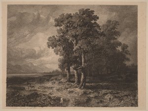 Arbres dans la tempête - Alexandre Calame