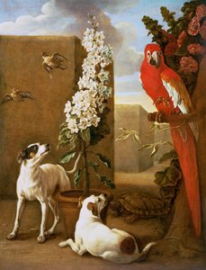 Perroquet avec des chiens