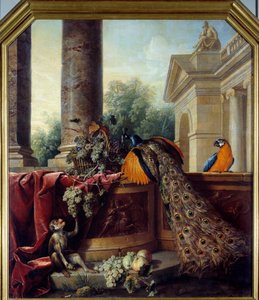 Nature morte avec paon, perroquet, singe et grappes de raisin - Alexandre Francois Desportes