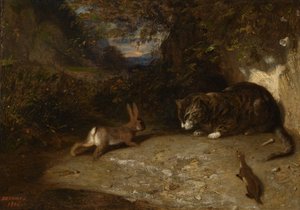 Chat, belette et lapin