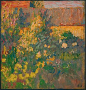 Jardin en fleurs