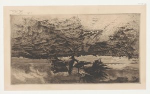 Paysage de bruyère