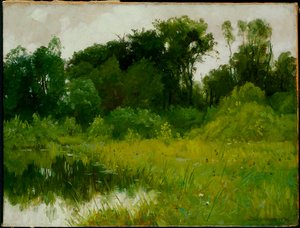 Après la pluie, sur Minnehaha Creek - Alexis Jean Fournier
