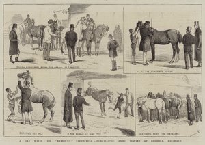 Une journée avec le comité de remonte, achat de chevaux de l