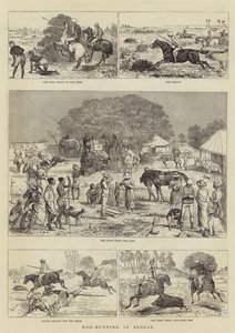 Chasse au sanglier au Bengale