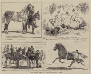Le salon du cheval à Alexandra Park - Alfred Chantrey Corbould