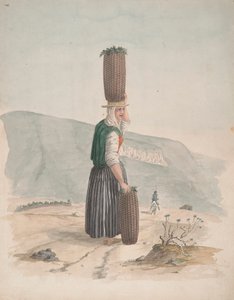 Vendeur de Charbon, Tenerife