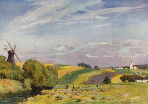 Danemark : Un paysage typique du Danemark, Jutland du Sud