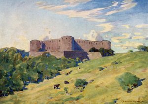 Ruines du château de Borgholm, Oland