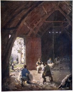 Tonte des moutons, ferme d