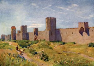 Les murs de Visby