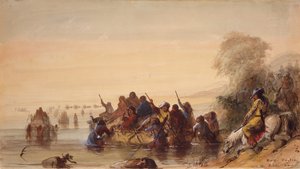 Navigation de taureaux sur la rivière Platte, c.1837