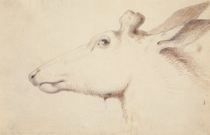 Élan. vers 1837
