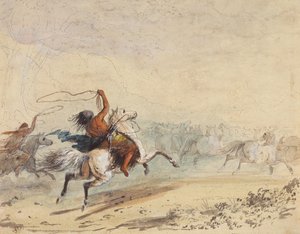 Lassoing des chevaux sauvages, vers 1837