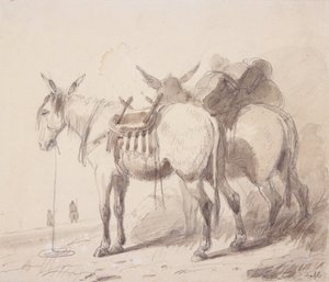 Équipement de mule, vers 1837 - Alfred Jacob Miller