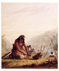 Un Indien Shosohonee [sic] préparant son repas - Alfred Jacob Miller