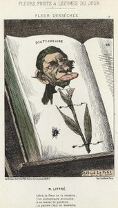 Fleur desséchée: Caricature de Littré - ill. du 01/02/1871 dans "Fleurs, Fruits et Légumes du Jour"