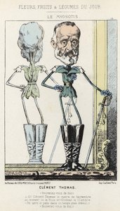 Le Myosotis: Caricature de Clément Thomas - ill. du 03/02/1871 dans "Fleurs, Fruits et Légumes du Jour"