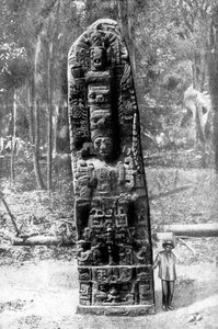 Un monolithe mystérieux dans la forêt primitive de Quirigua, Guatemala, 1922 - Alfred P Maudsley