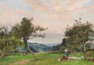 Le parc à canards