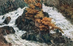 Chutes de Conway, près de Bettws-y-Coed