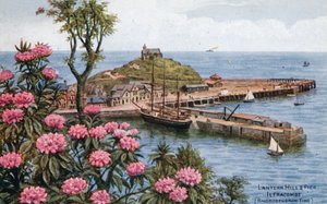 Colline et jetée de la lanterne, Ilfracombe, (Temps des rhododendrons) - Alfred Robert Quinton