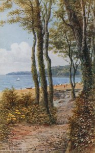 Chemin vers le rivage, vue sur la mer, île de Wight