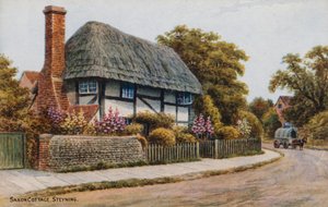 Cottage saxon, Steyning