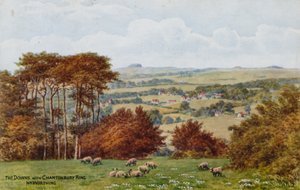 Les Downs avec Chantonbury Ring, près de Worthing - Alfred Robert Quinton