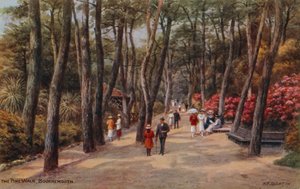 La promenade des Pins, Bournemouth