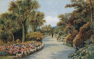 Le sentier rocheux, Torquay