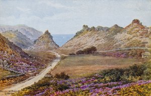 Vallée des Roches, Lynton