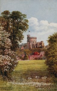 Château de Windsor depuis The Brocks