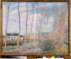 Le canal du Loing