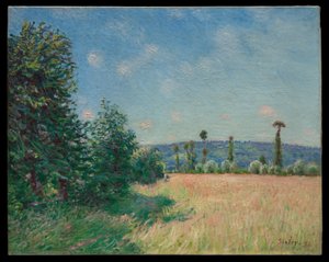 Les prairies de Sahurs au soleil du matin - Alfred Sisley