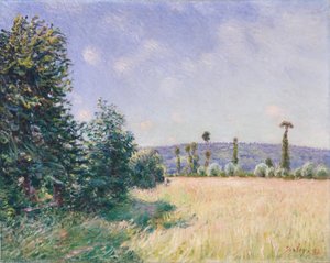 Prés de Sahurs au soleil du matin, 1894