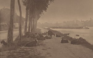  - Alfred Stieglitz