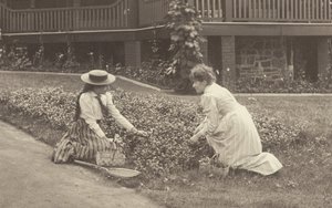 Un parterre de fleurs à Oaklawn - Alfred Stieglitz