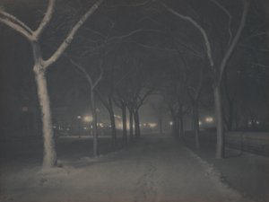  - Alfred Stieglitz