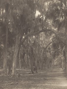  - Alfred Stieglitz