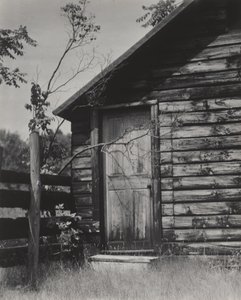  - Alfred Stieglitz