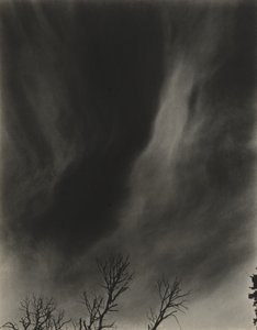  - Alfred Stieglitz