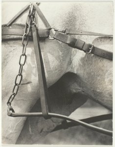 Équivalent, Amérique spirituelle - Alfred Stieglitz